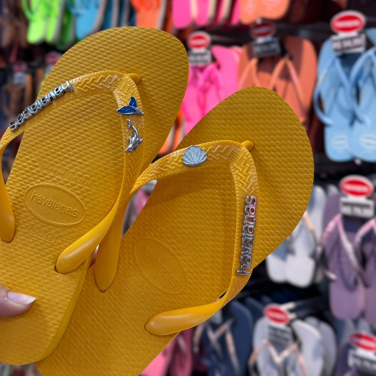 Havaianas Top + Placa Logo + Pin Golfinho, Sereia e Concha