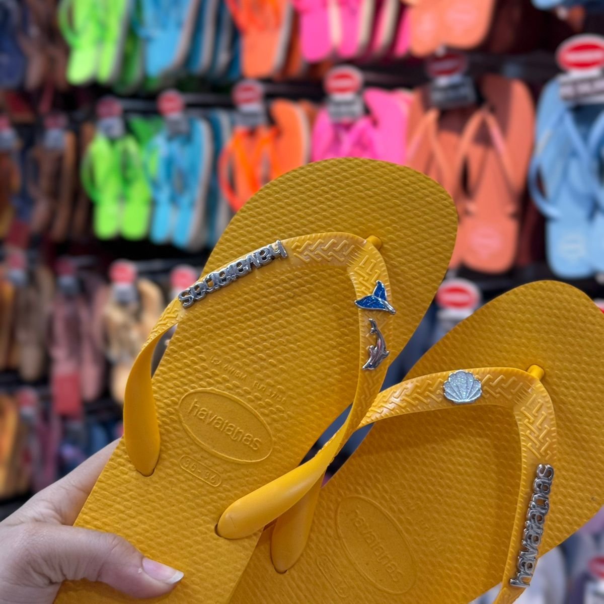 Havaianas Top + Placa Logo + Pin Golfinho, Sereia e Concha