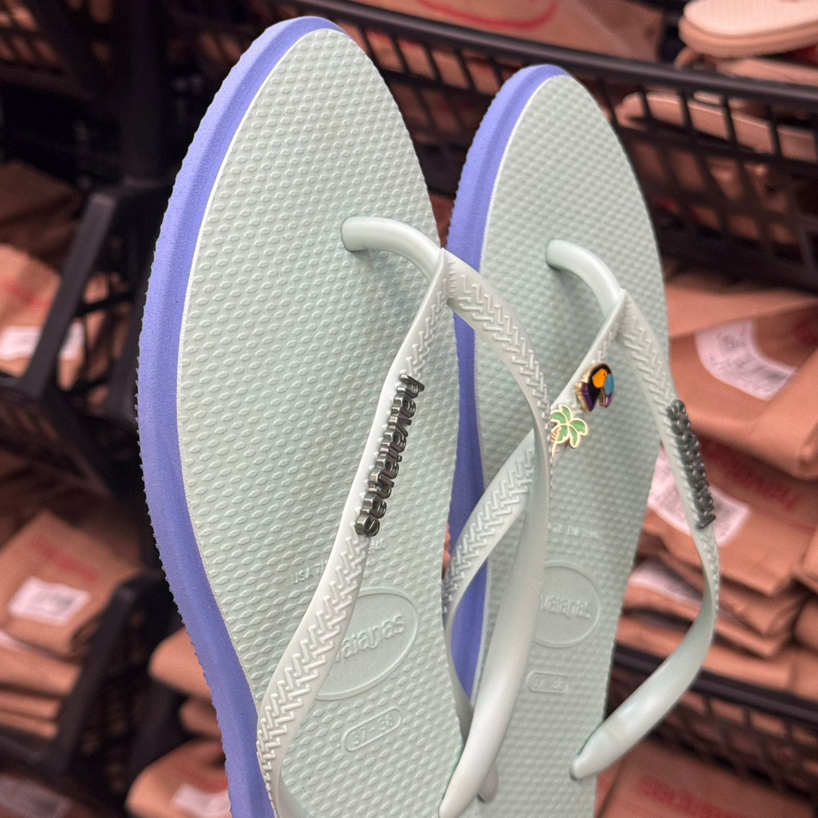 Havaianas Slim Point + Pin Tucano e Coqueiro