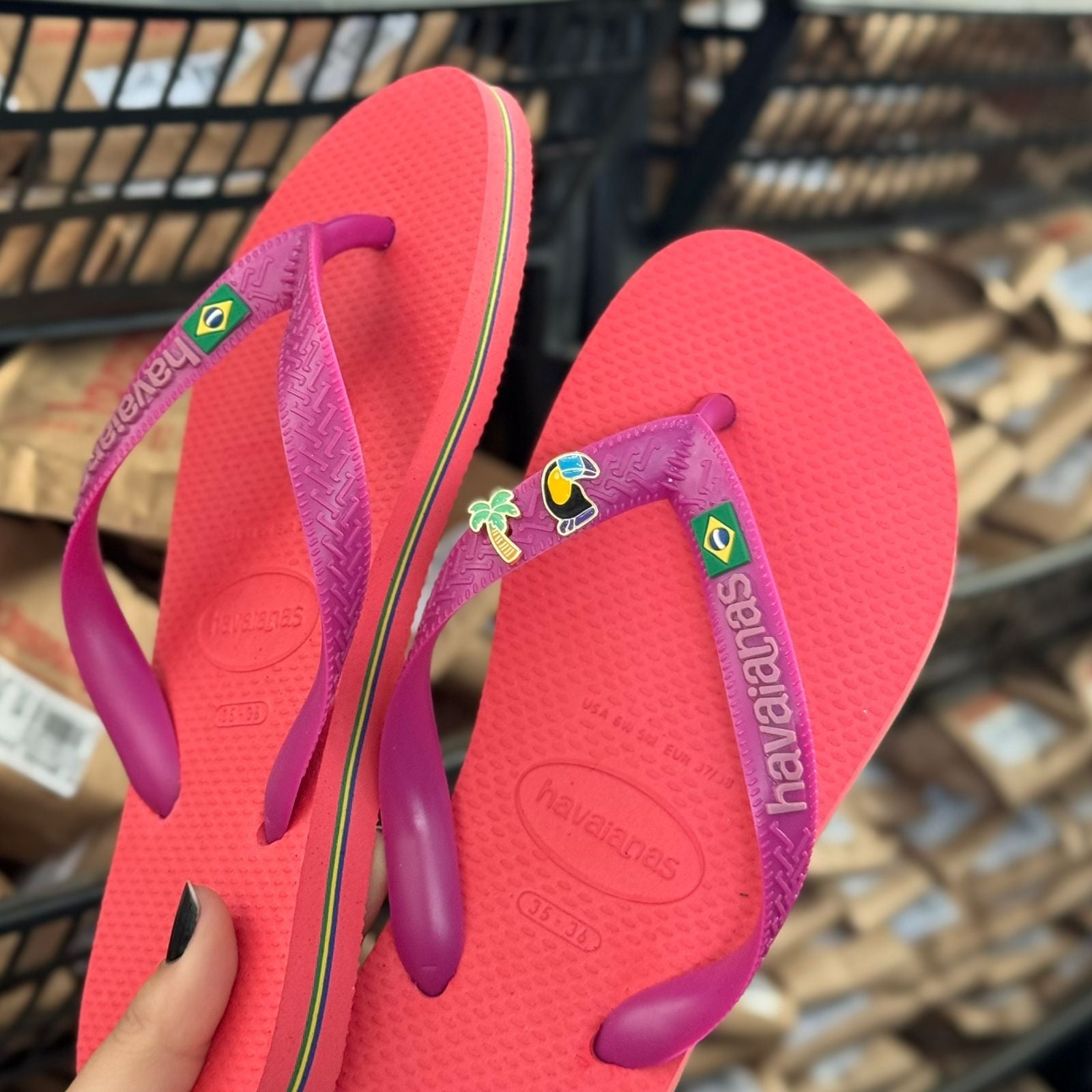 Havaianas Brasil Logo + Pin Tucano e Coqueiro