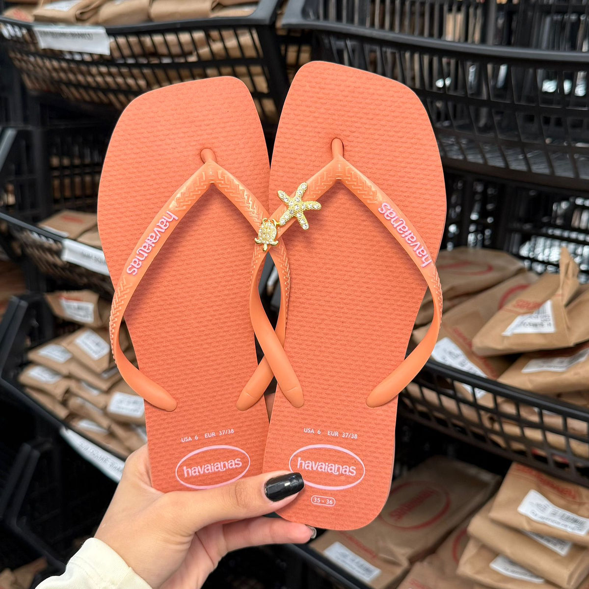 Chinelo Havaianas Logo Pop Up + Pin Tartaruga e Estrela