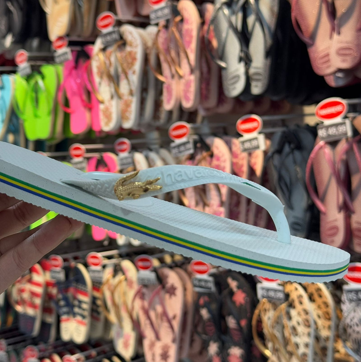 Havaianas Brasil + Pin Jacaré